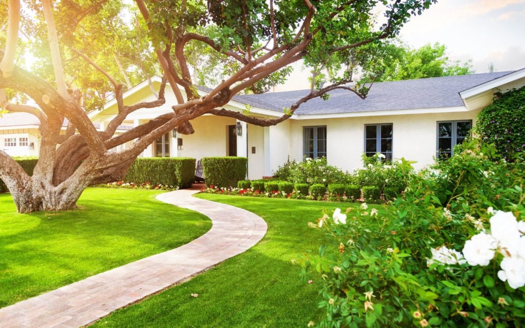 Curb Appeal Front Yard Landscaping Ideas on a Budget